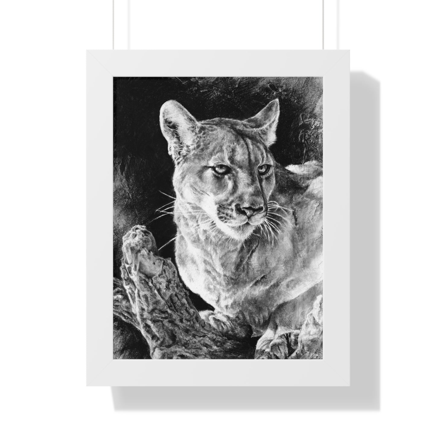 "Mountain Lion" Framed Paper Print