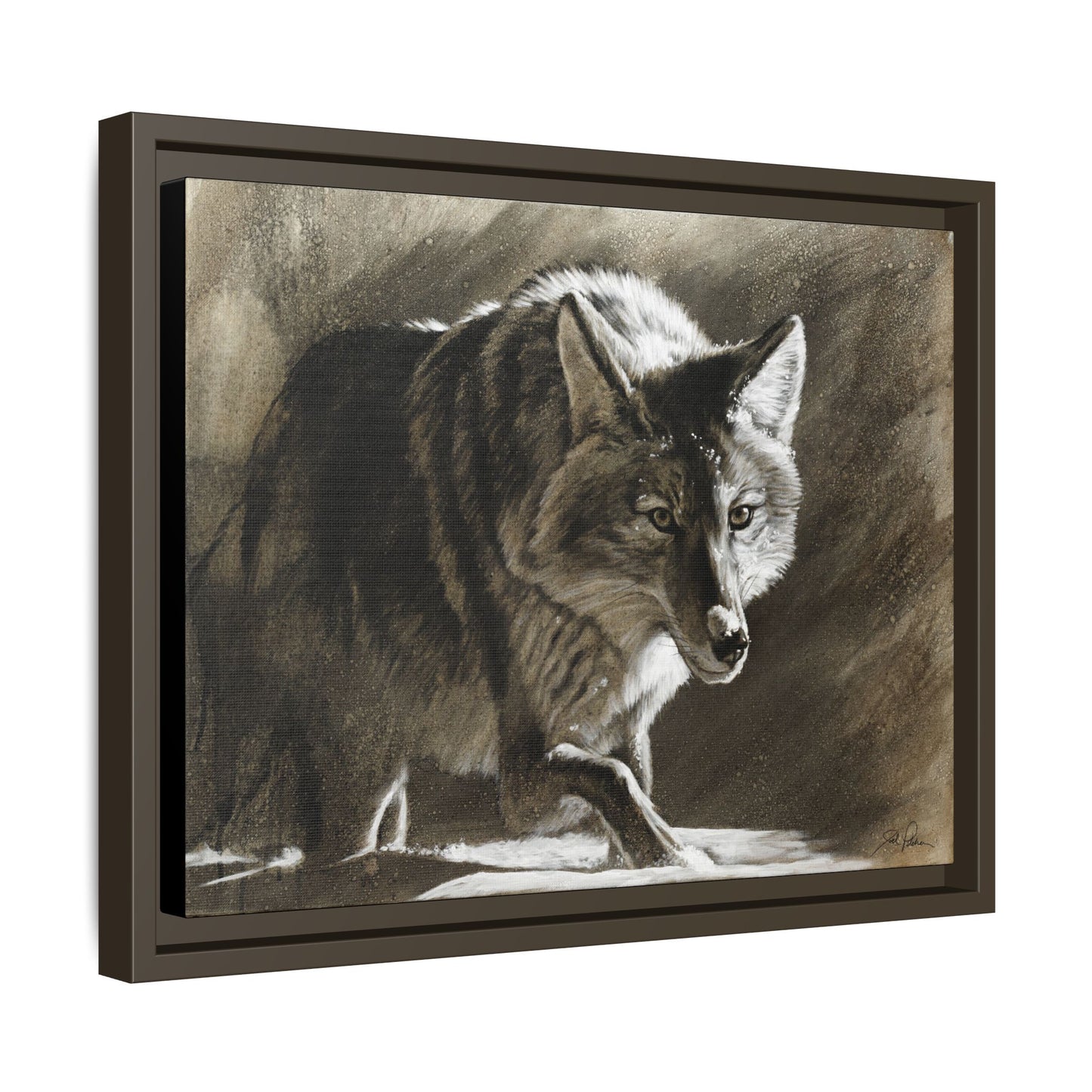 "Coyote" Framed Canvas