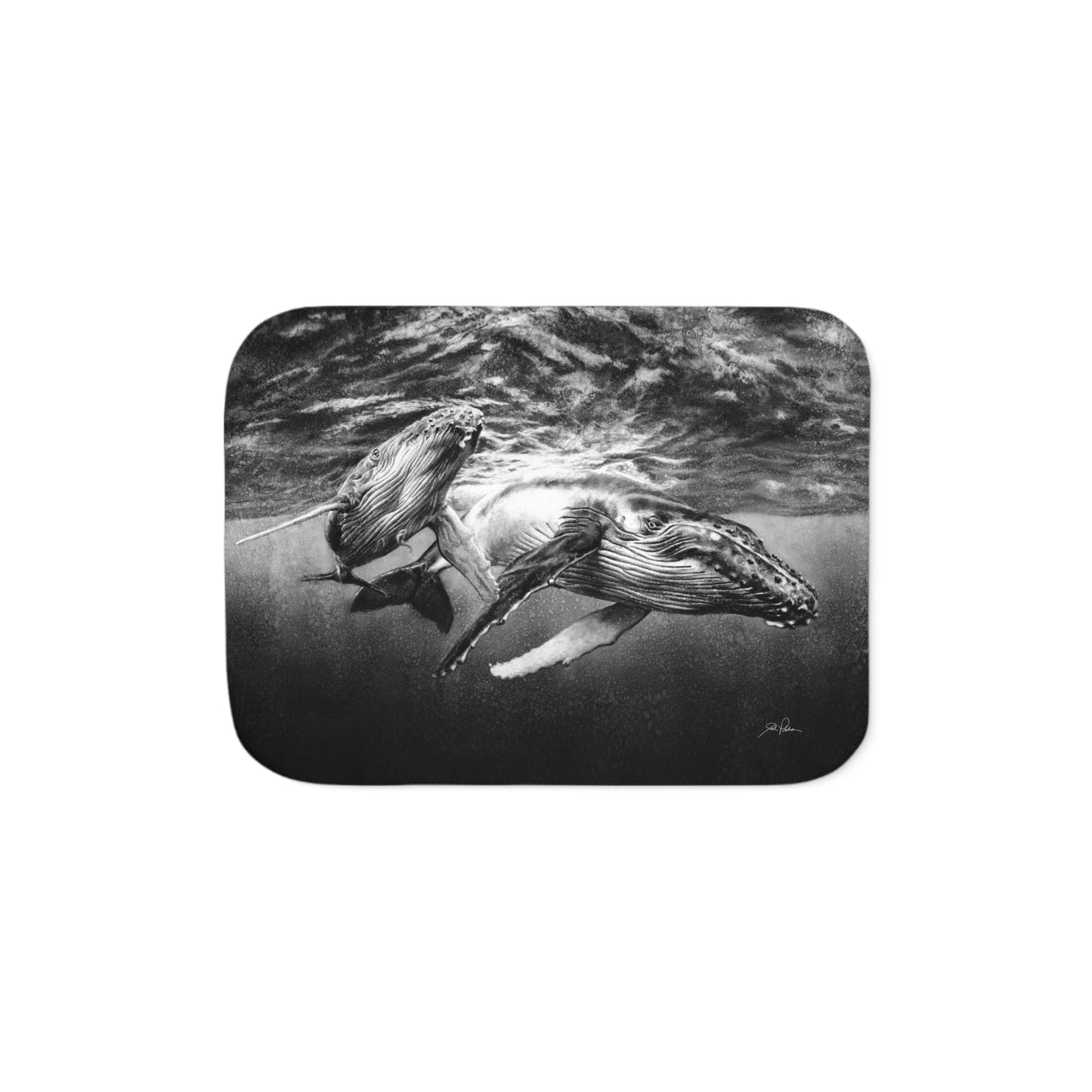 "Humpback Whales" Sherpa Blanket.
