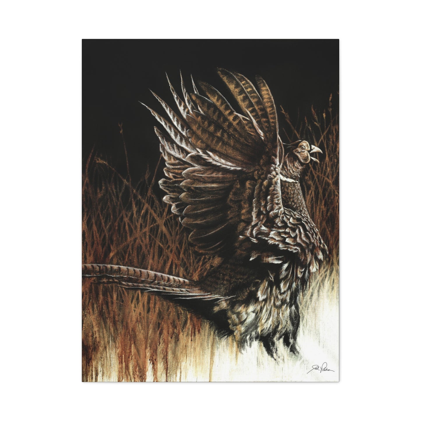"Call of the Upland Pheasant" Stretched Canvas