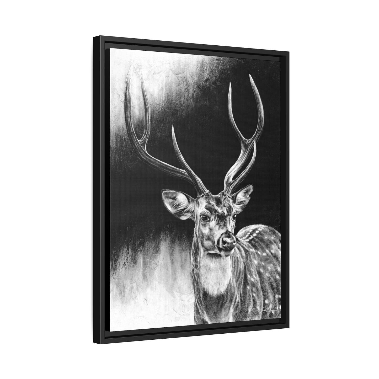 "Axis Buck" Framed Canvas