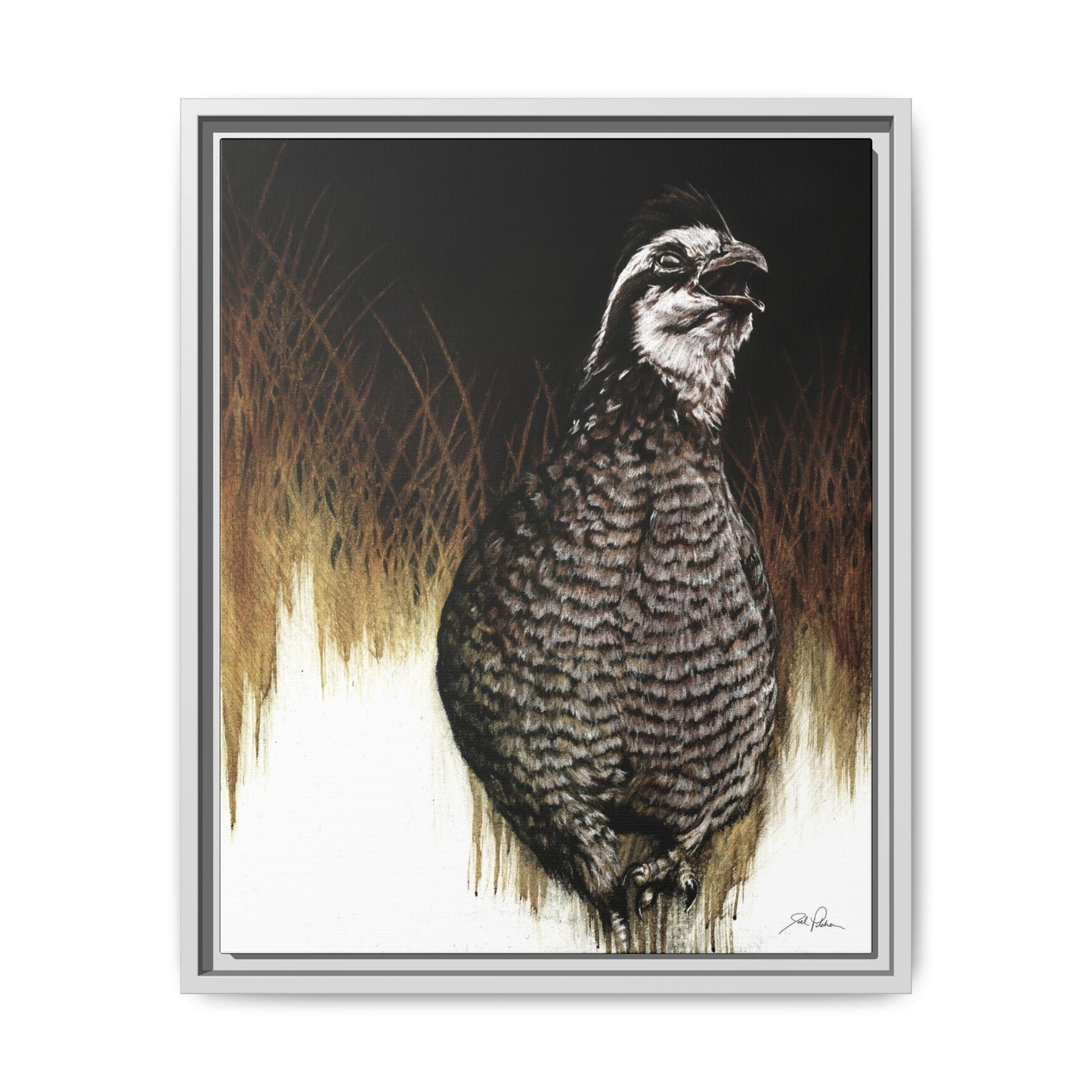 "Call of the Upland Quail" Framed Canvas