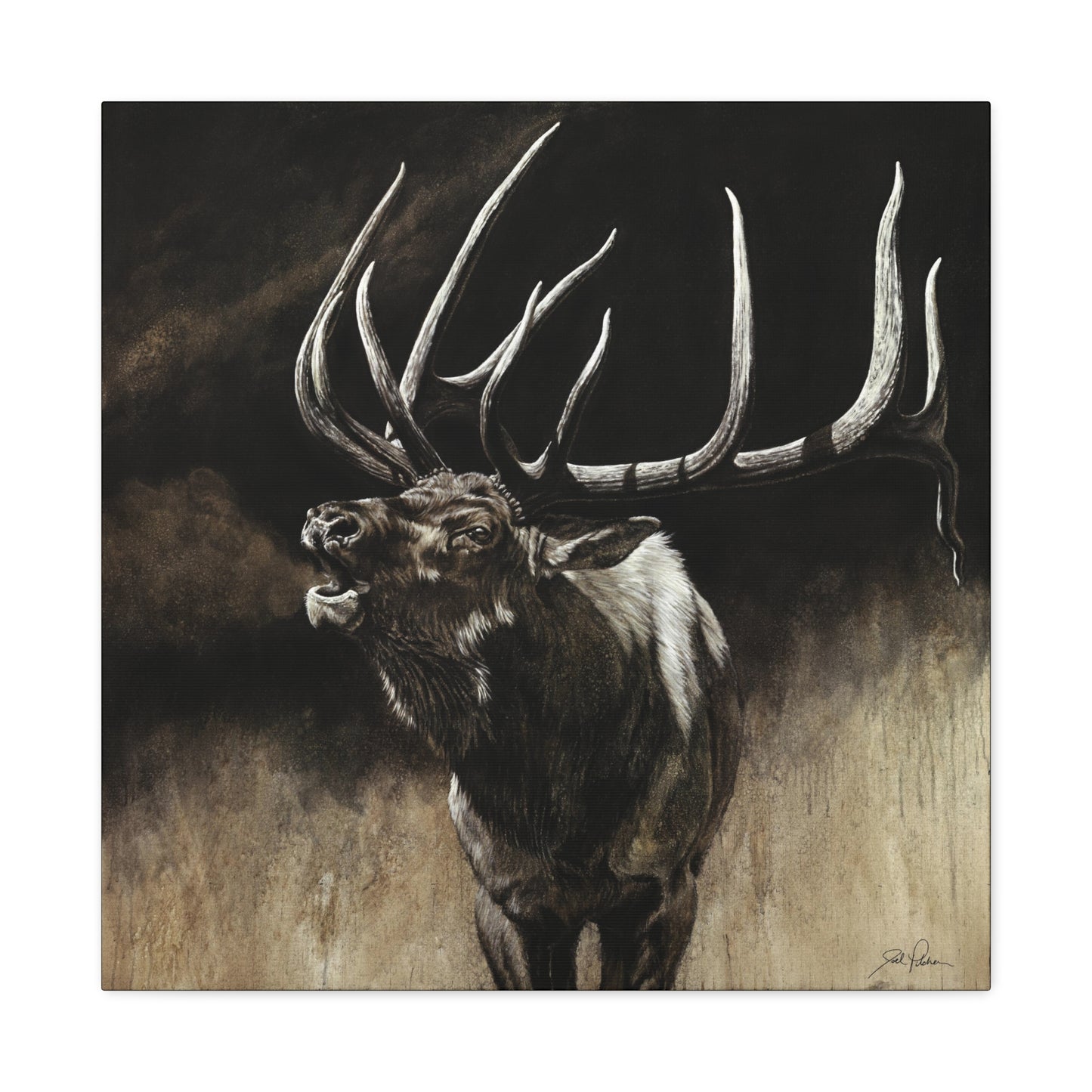 "Call of the Wild" Stretched Canvas