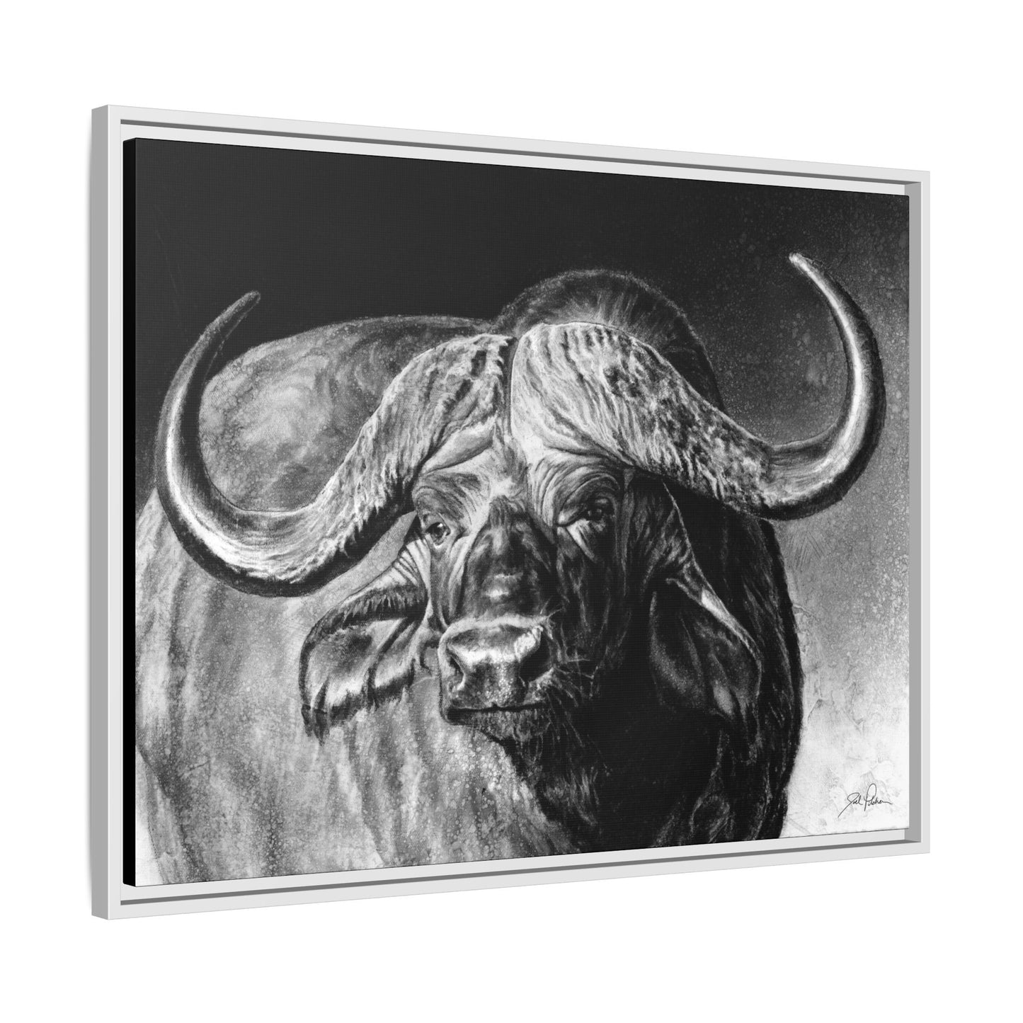"Cape Buffalo" Framed Canvas