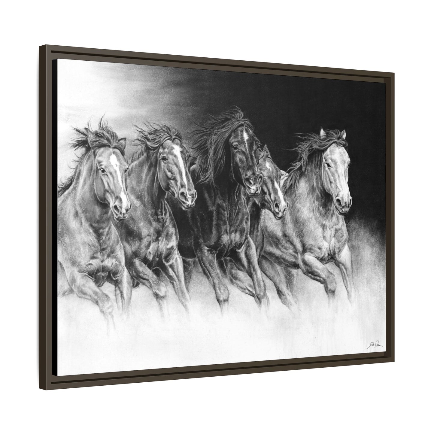 "Wild Bunch" Framed Canvas