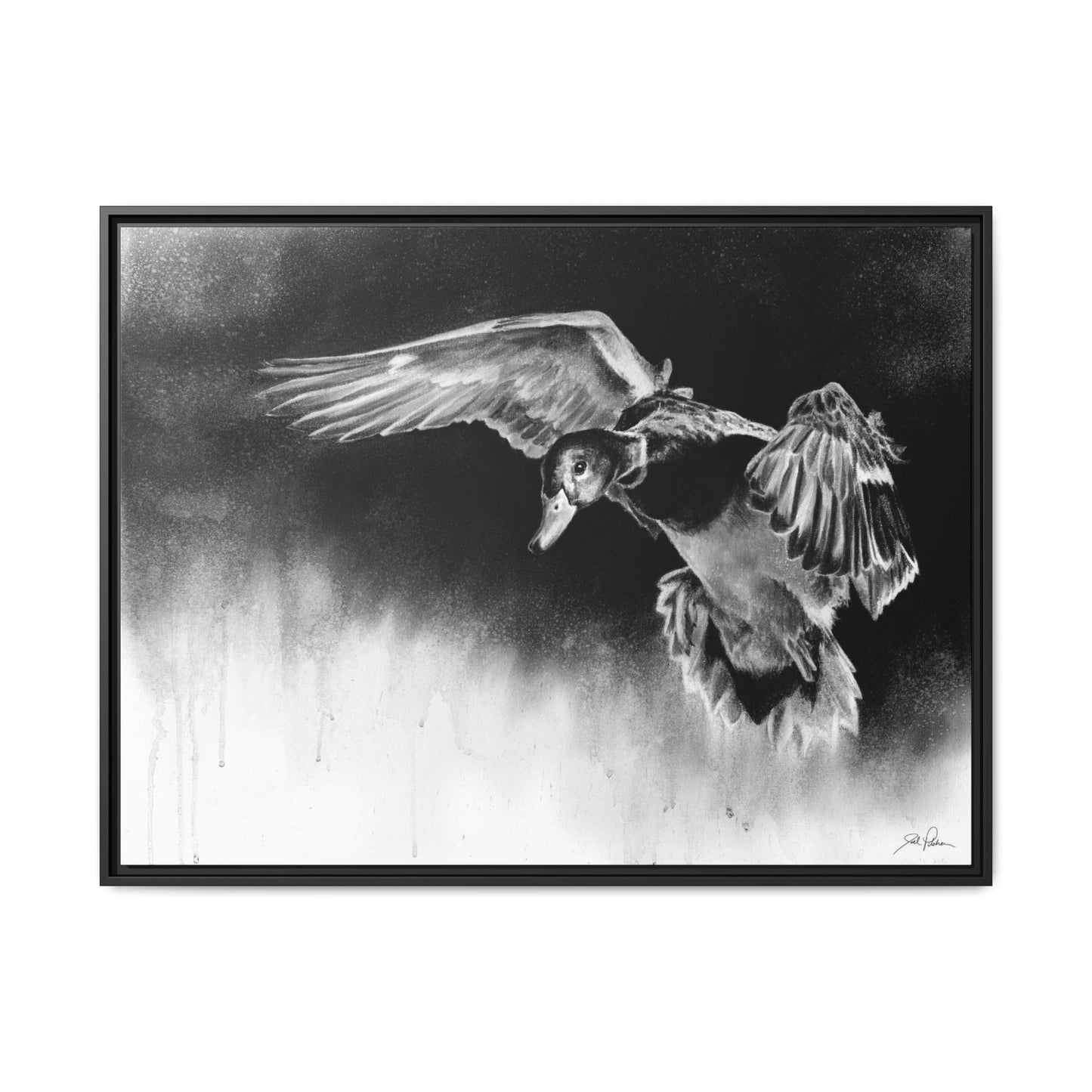"Controlled Descent" Framed Canvas