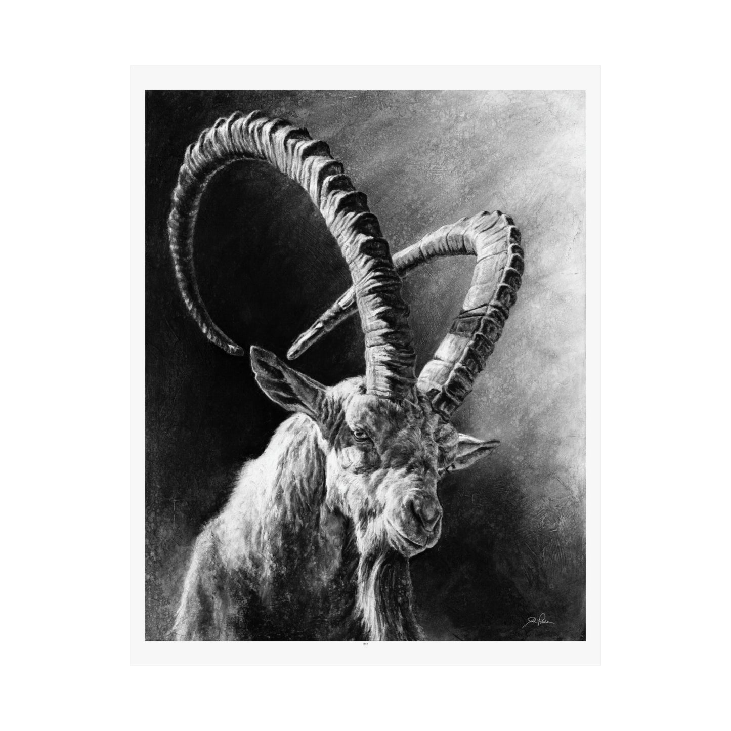 "Ibex" Premium Matte Paper Print.