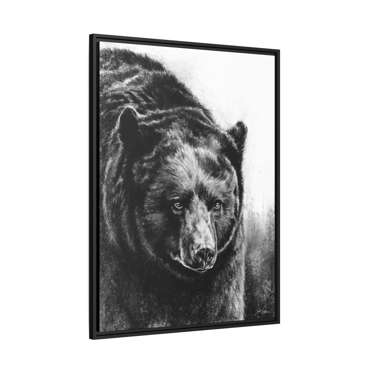 "Black Bear" Framed Canvas
