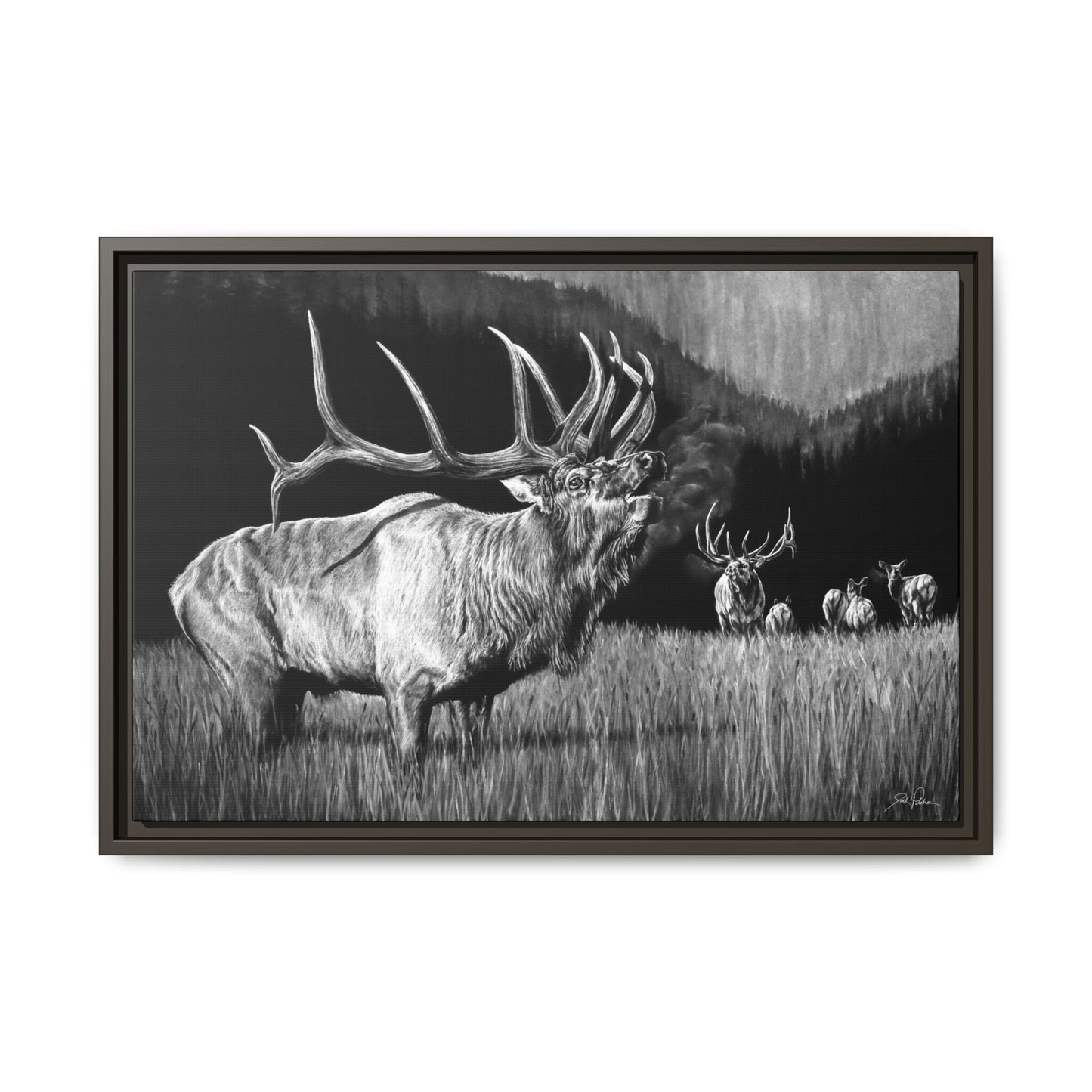 "The Contender" Framed Canvas