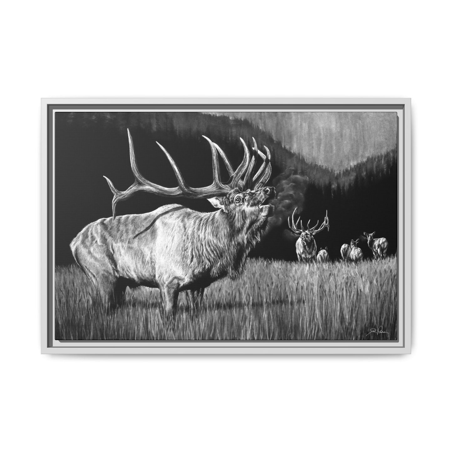 "The Contender" Framed Canvas