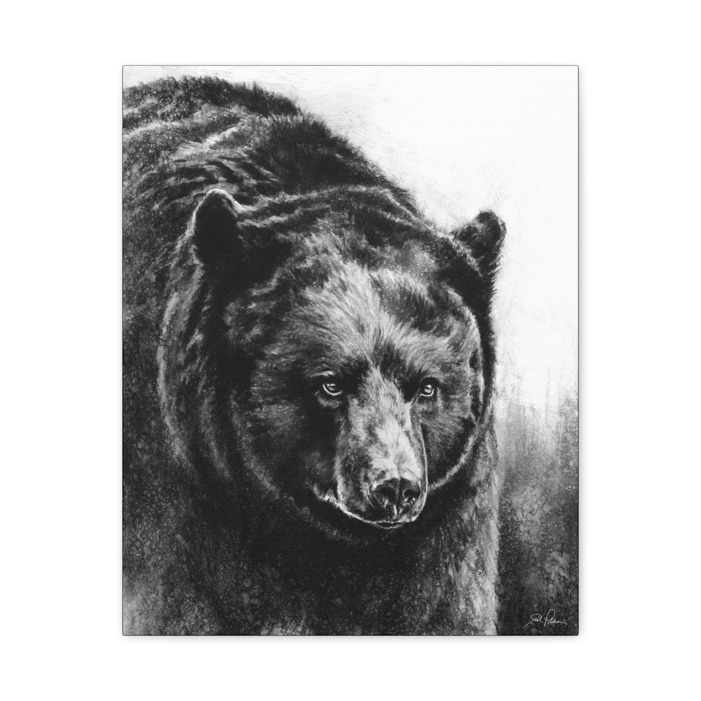 "Black Bear" Stretched Canvas