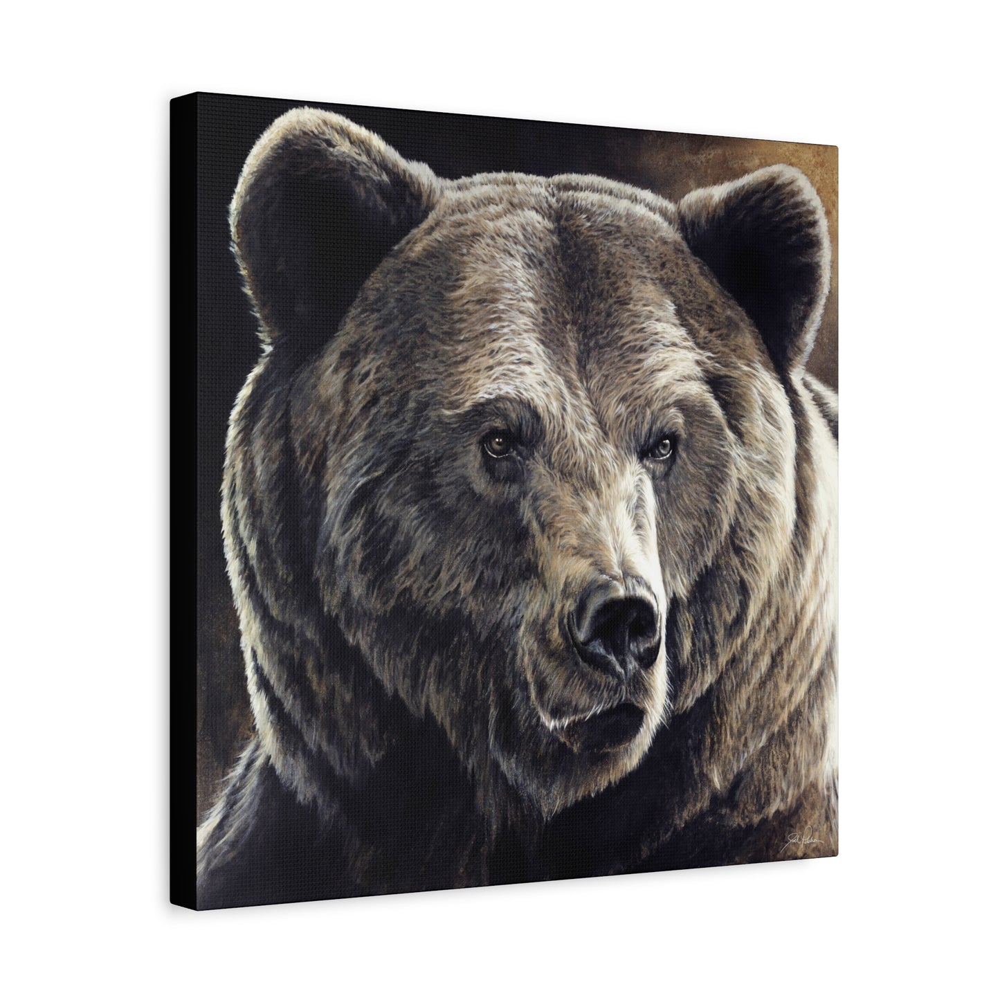 "Kodiak" Stretched Canvas
