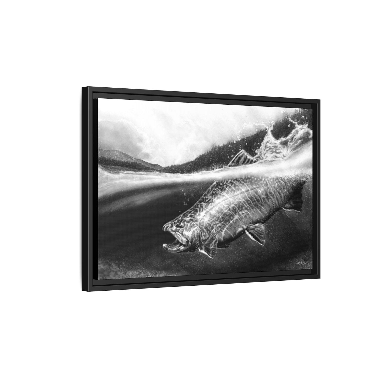 "Brook Trout" Framed Canvas