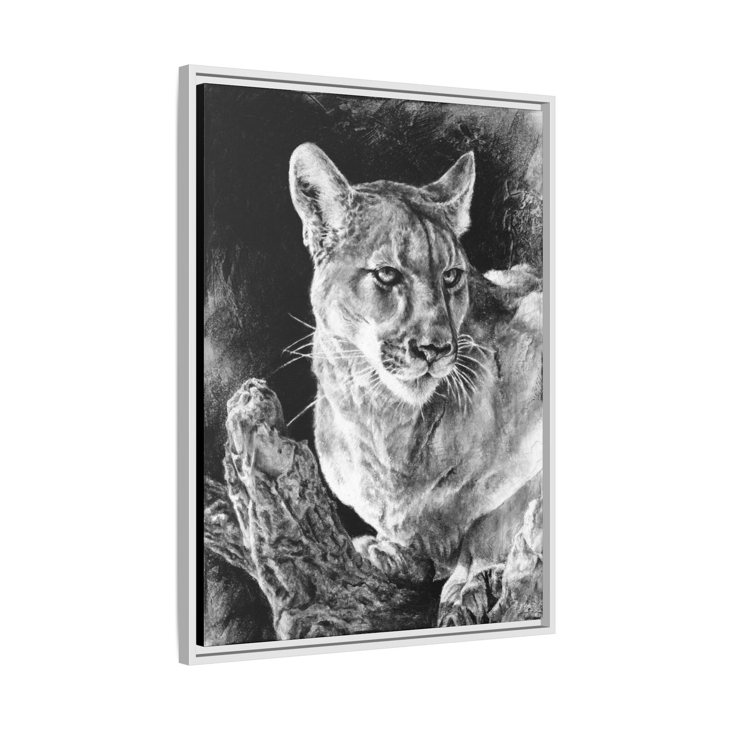 "Mountain Lion" Framed Canvas