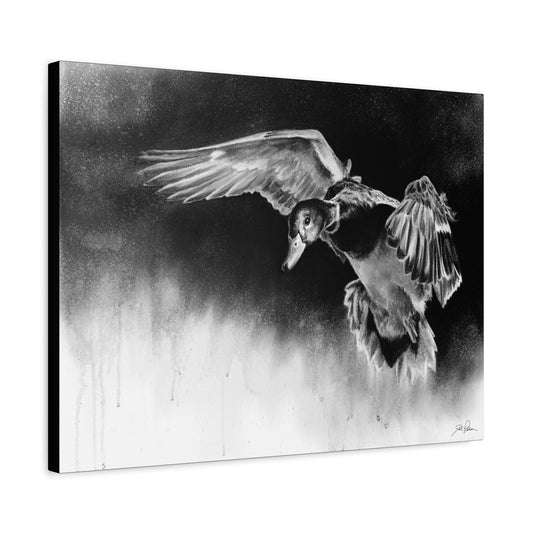 "Controlled Descent" Stretched Canvas