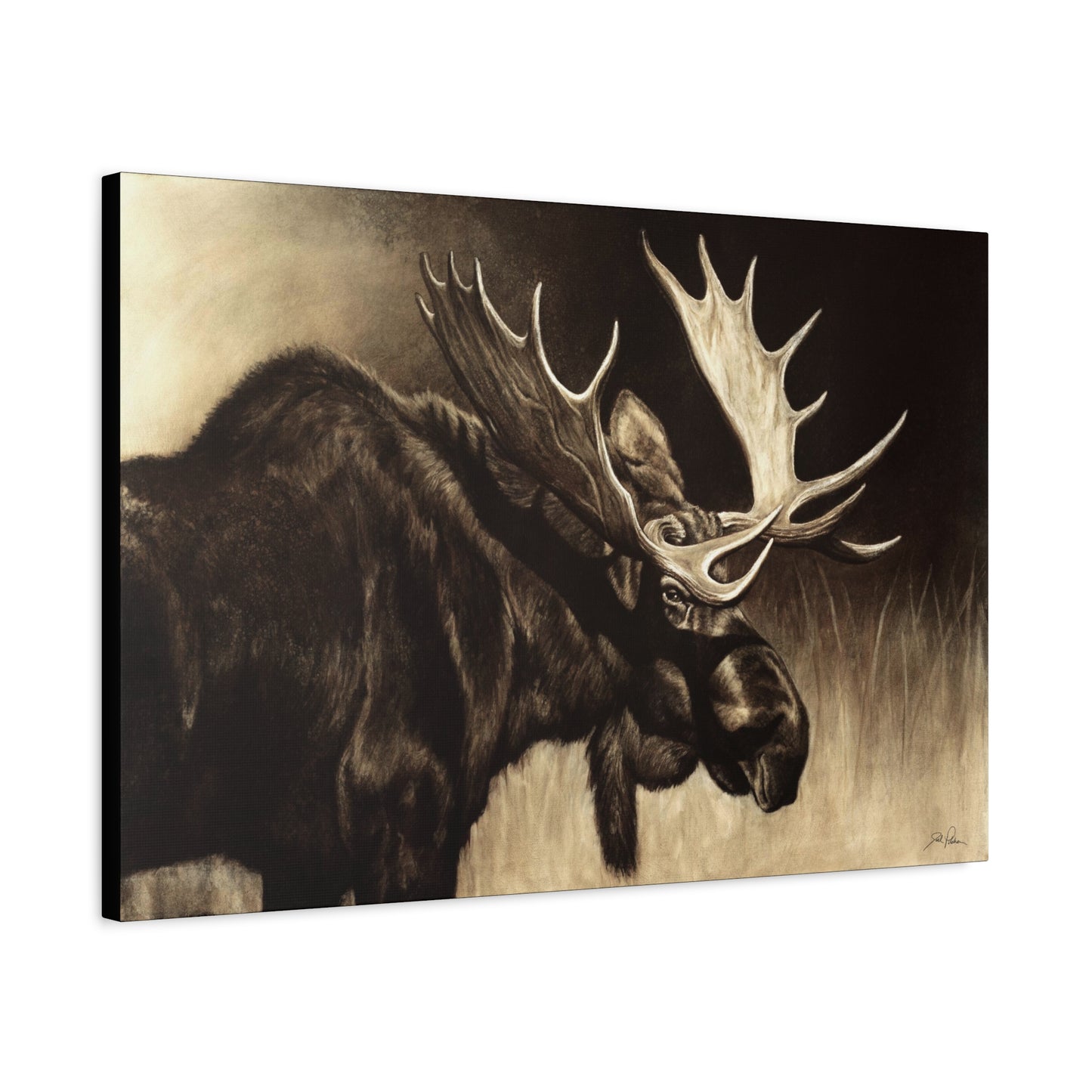 "Mighty Moose" Stretched Canvas