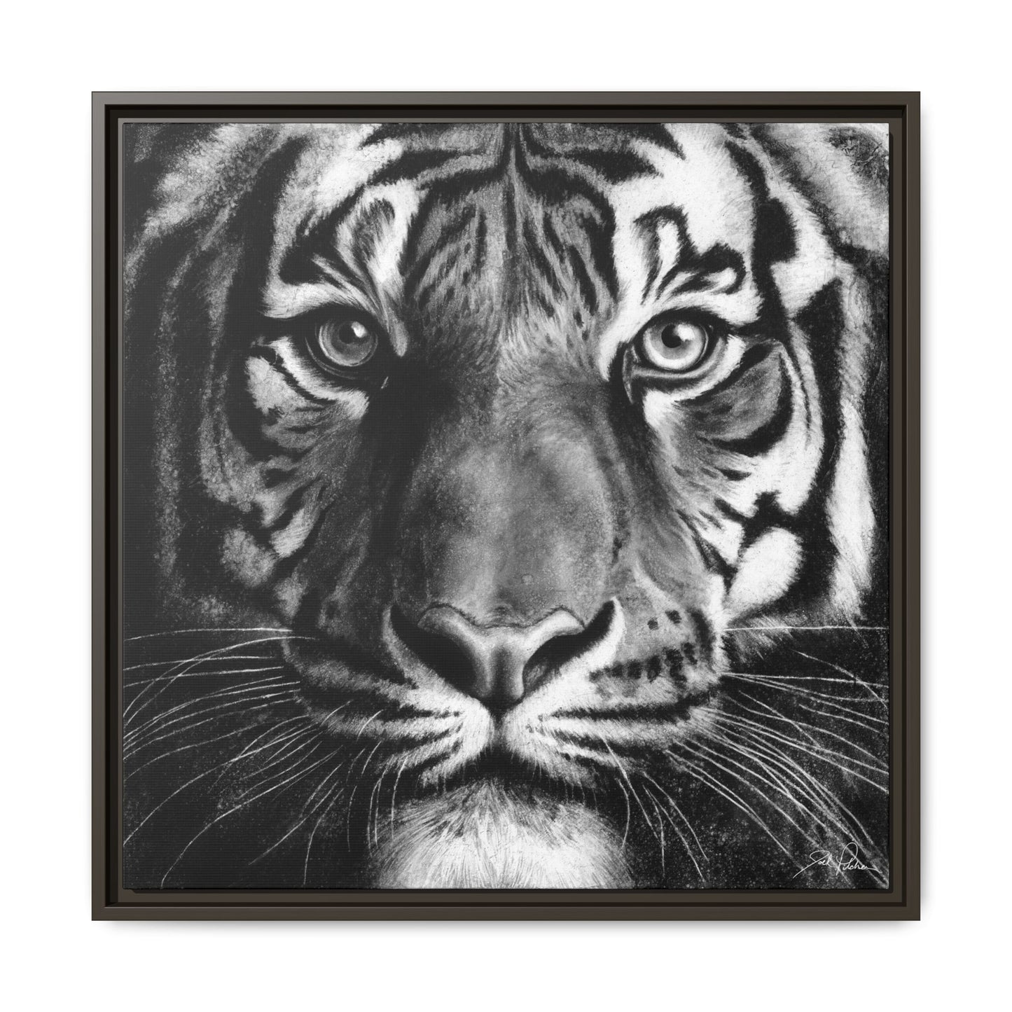"Tiger" Framed Canvas