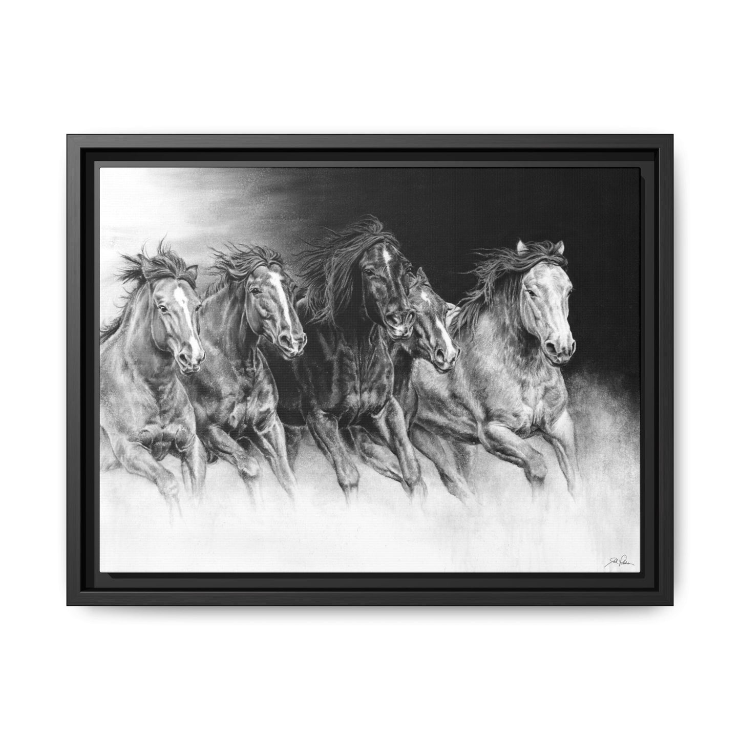 "Wild Bunch" Framed Canvas