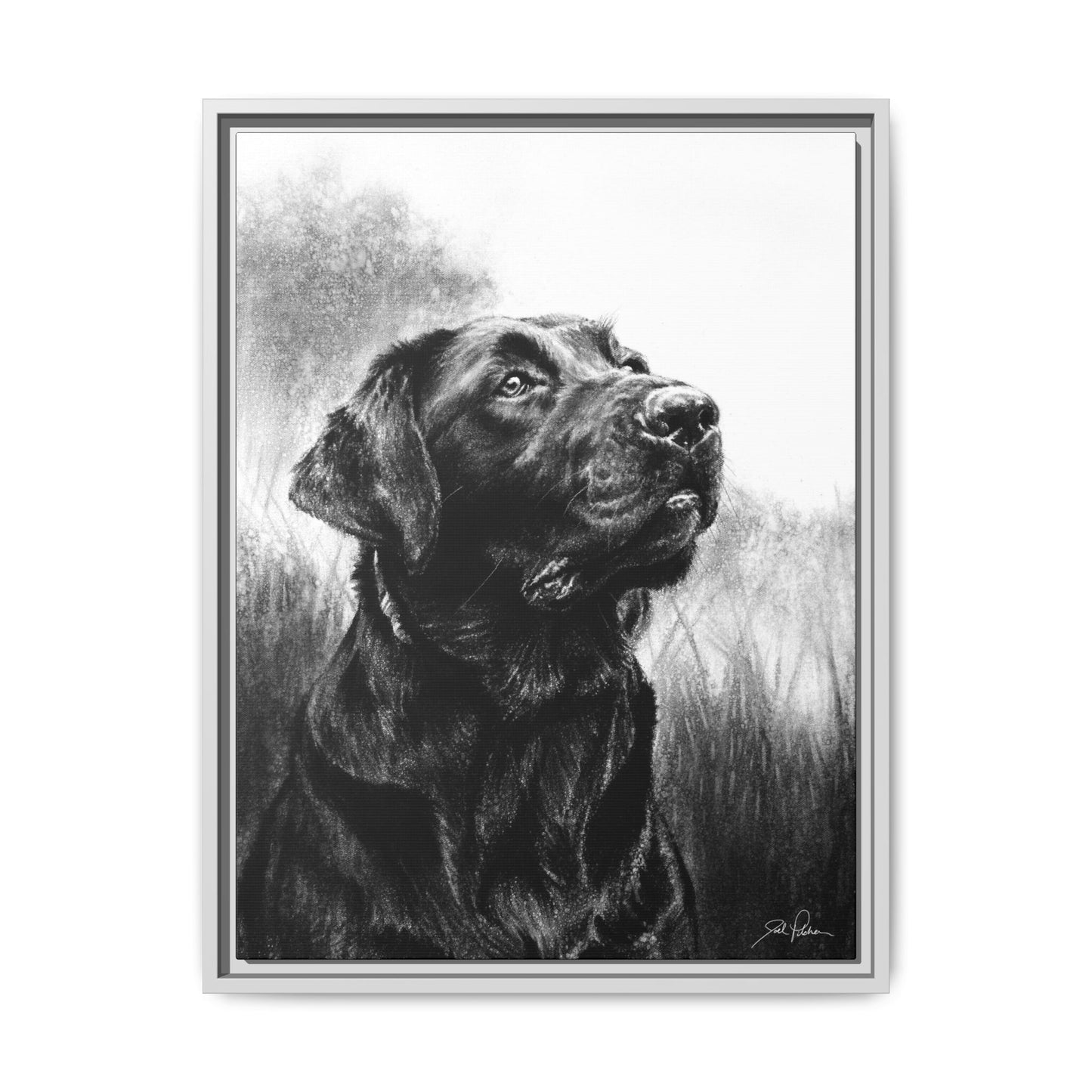 "Labrador Retriever" Framed Canvas