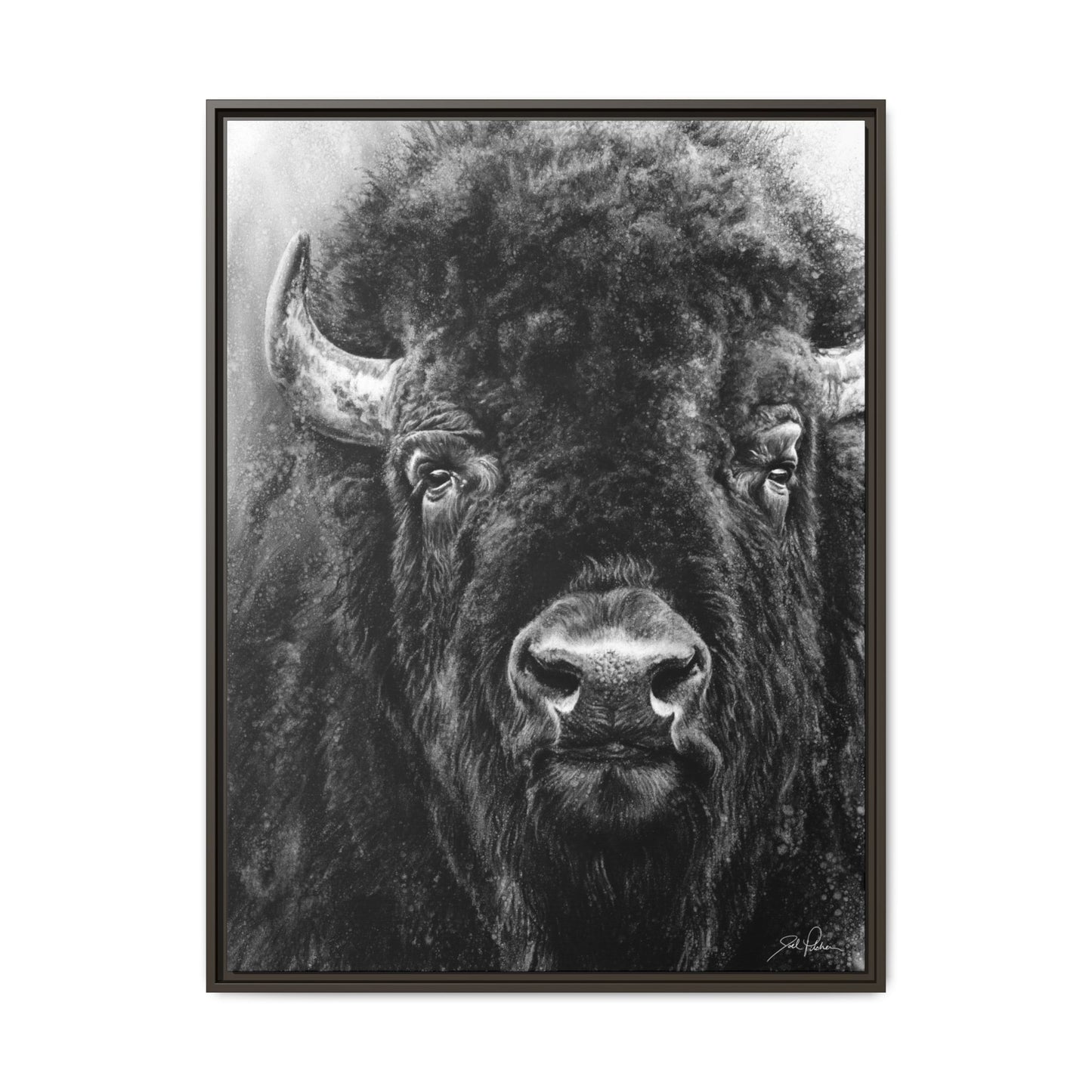 "Tatanka" Framed Canvas