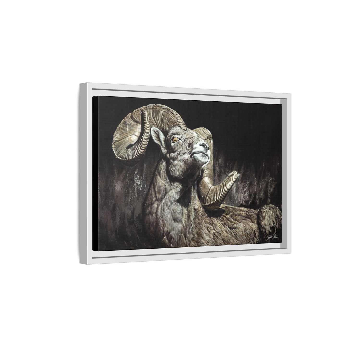 "Golden Eye" Framed Canvas
