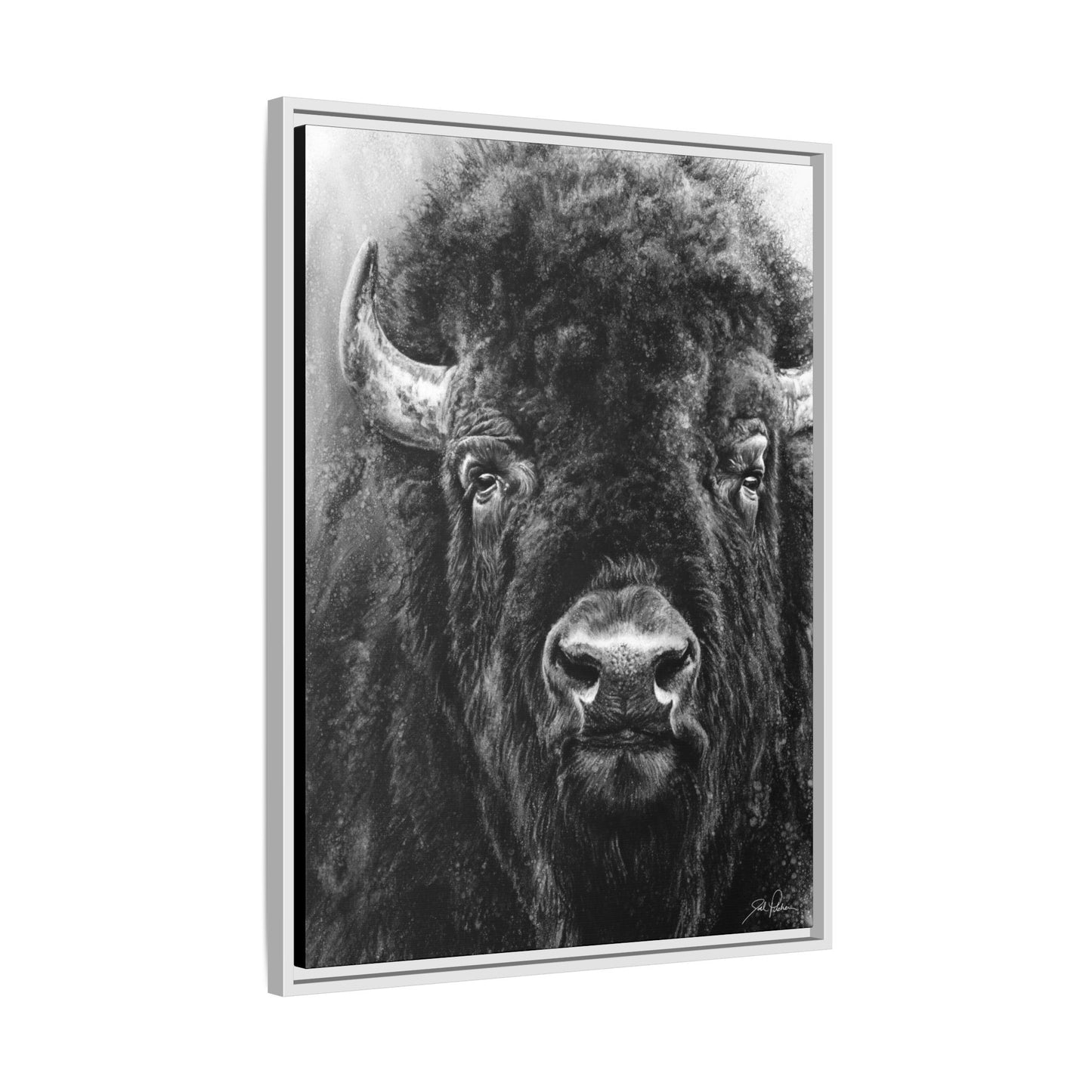 "Tatanka" Framed Canvas