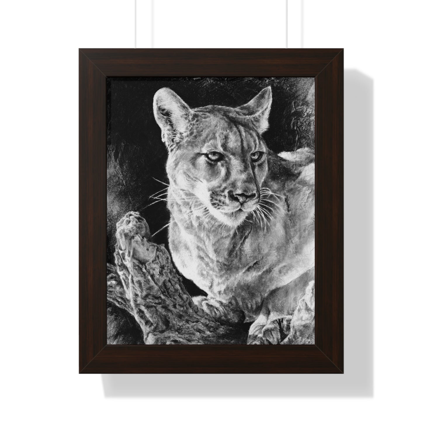 "Mountain Lion" Framed Paper Print