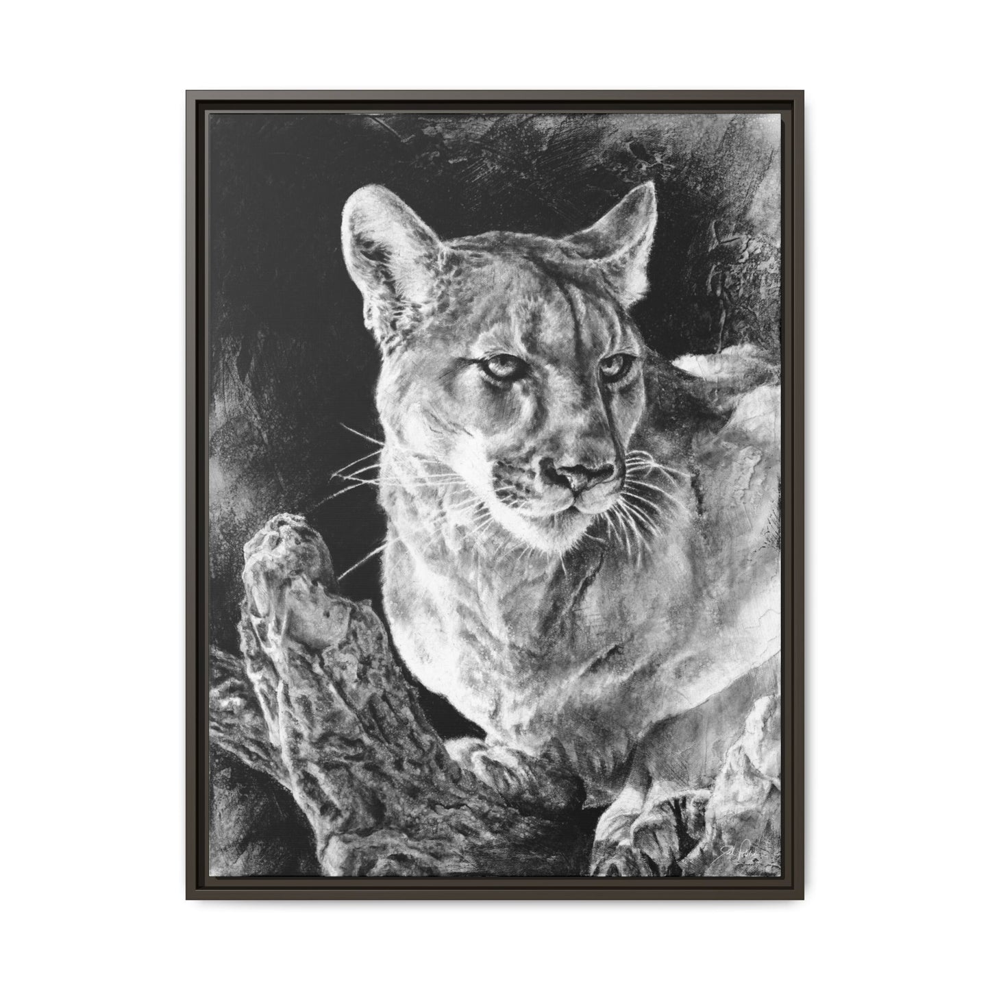 "Mountain Lion" Framed Canvas