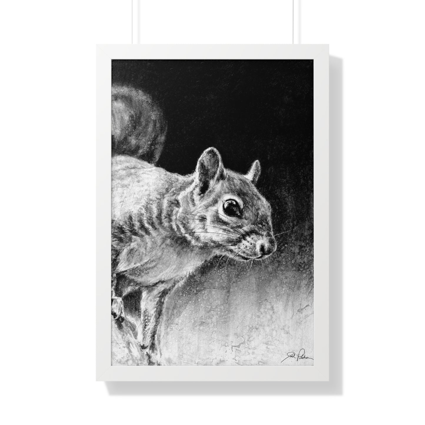 "Squirrel" Framed Paper Print