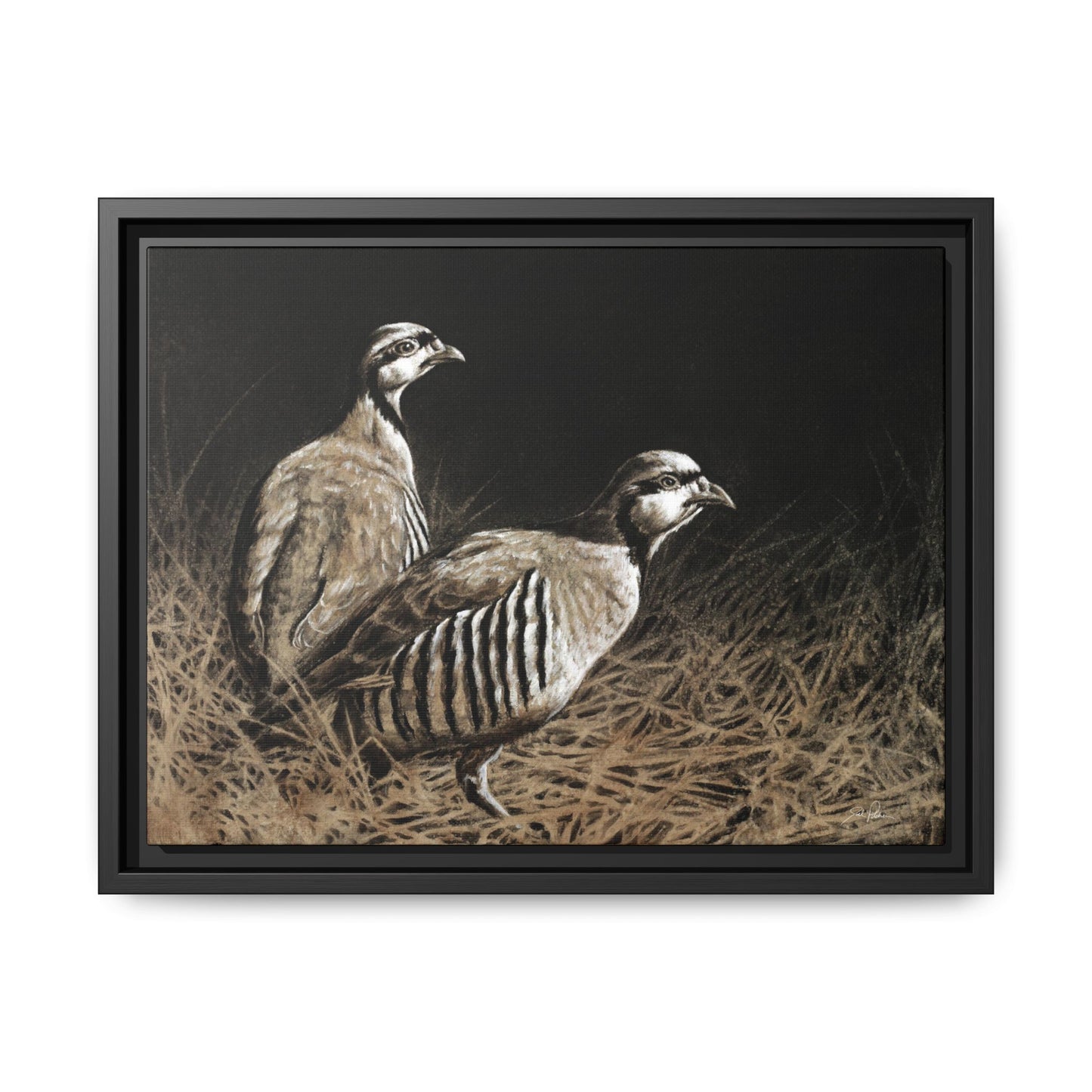 "Chukars" Framed Canvas