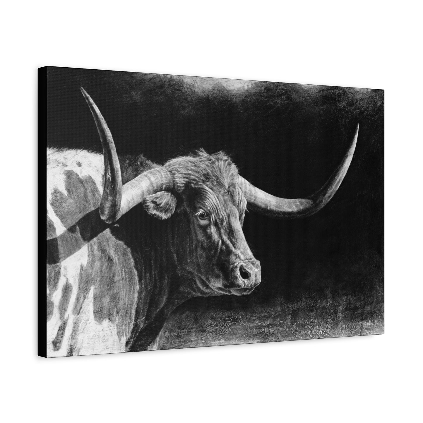 "Longhorn II" Stretched Canvas
