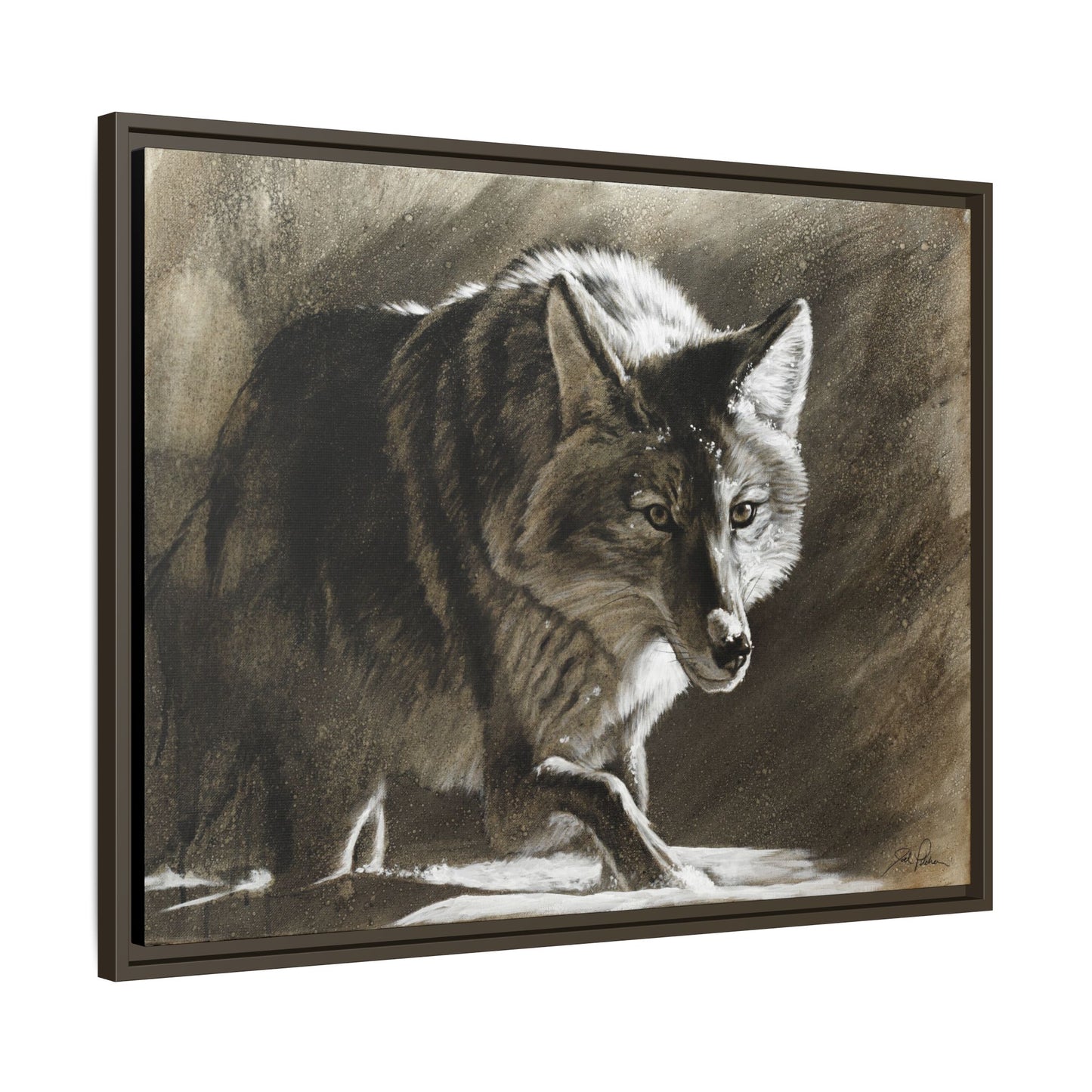"Coyote" Framed Canvas