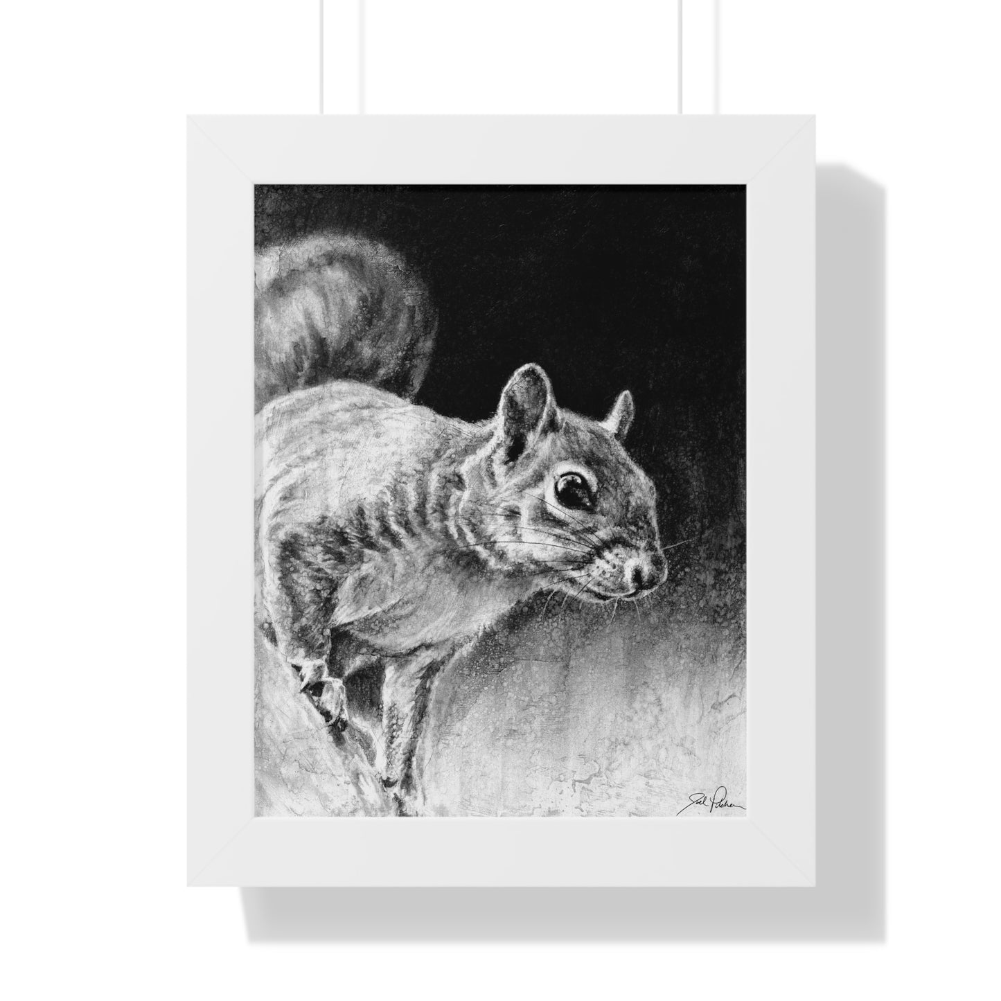 "Squirrel" Framed Paper Print