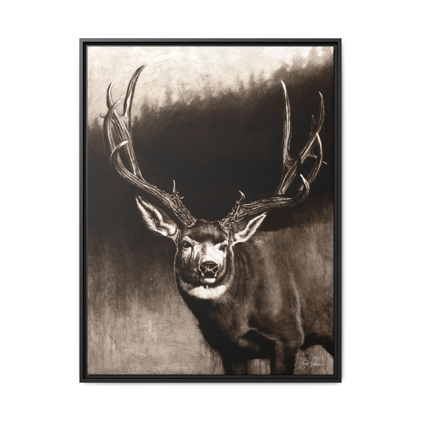 "Muley" Framed Canvas