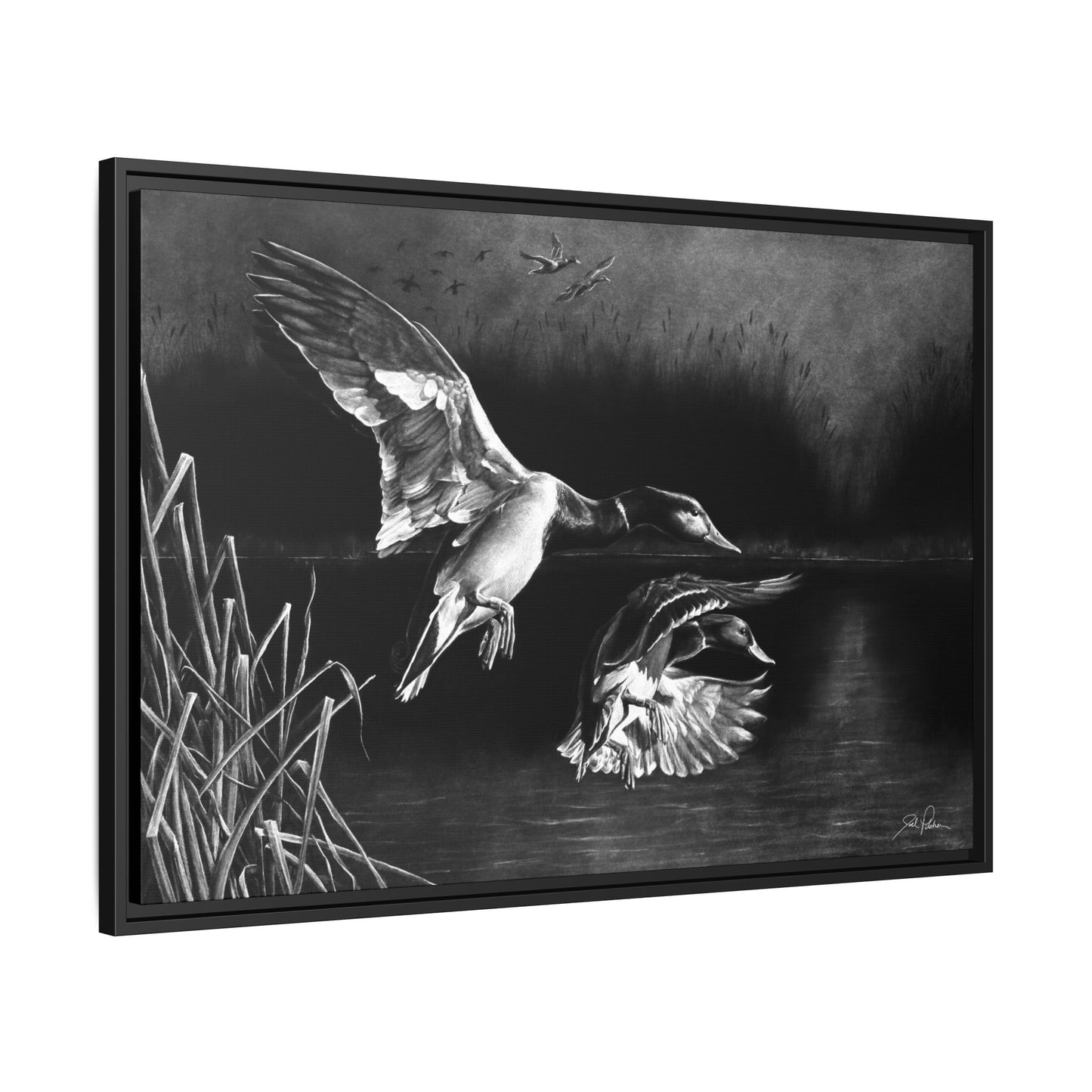 "Banded Brothers" Framed Canvas