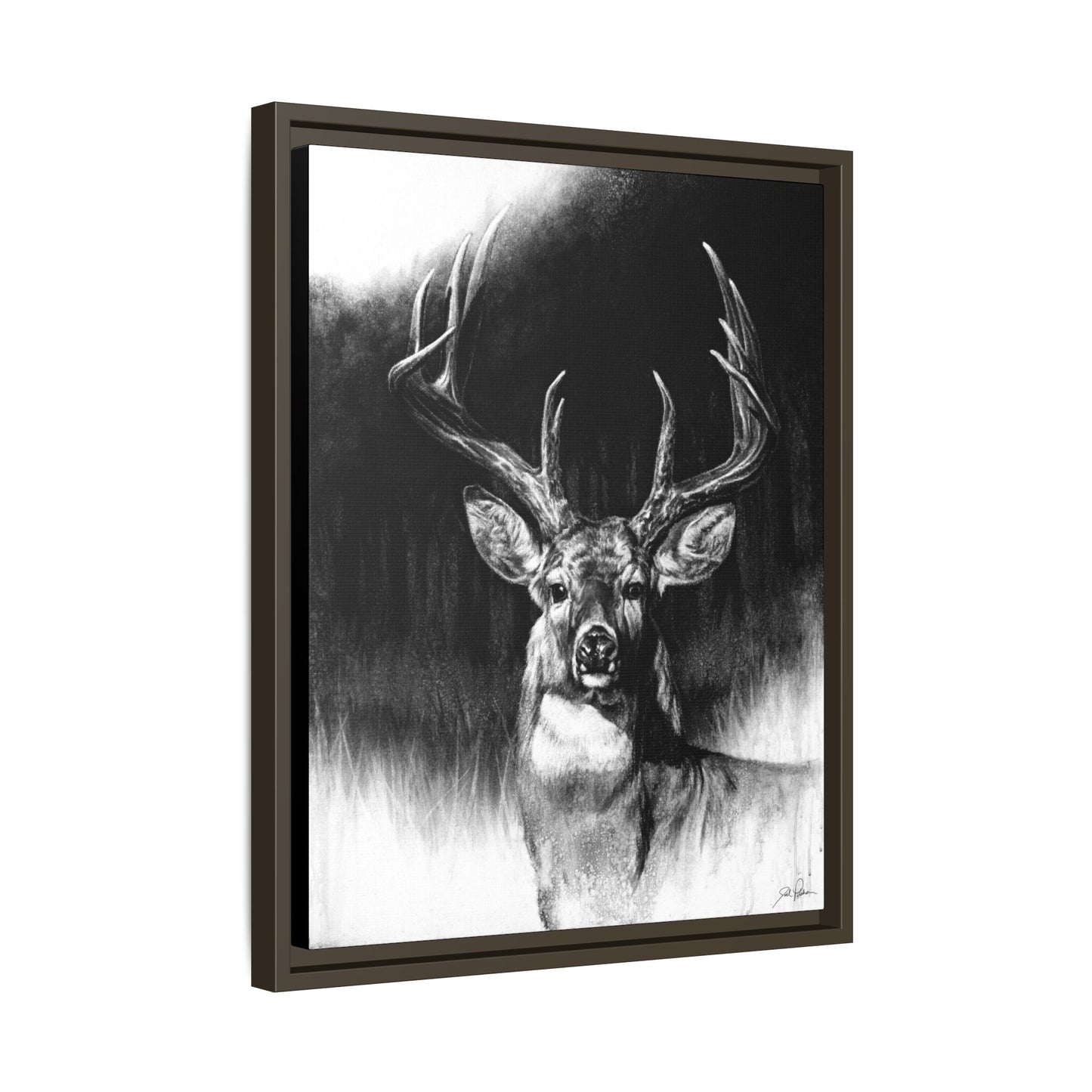 "Whitetail" Framed Canvas