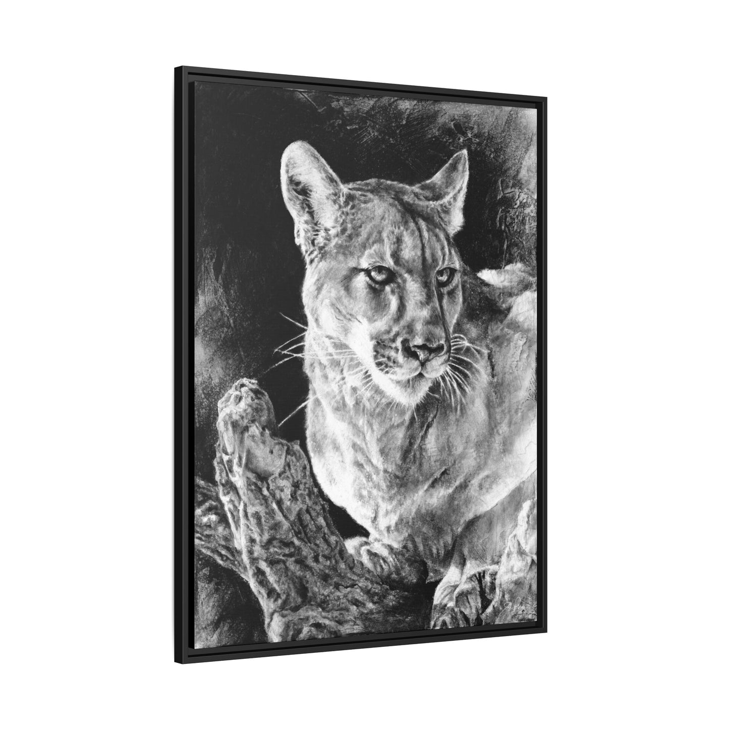 "Mountain Lion" Framed Canvas
