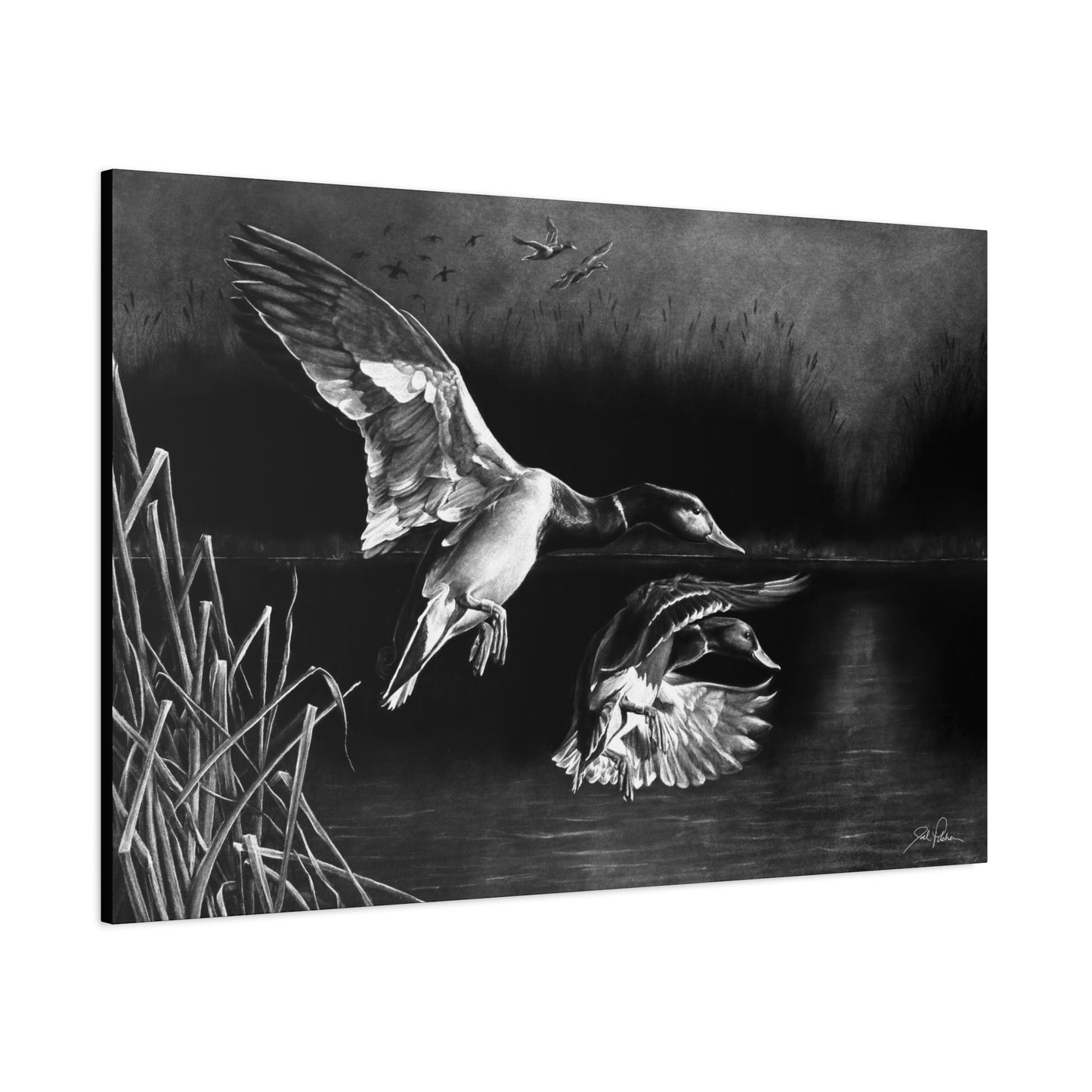 "Banded Brothers" Stretched Canvas
