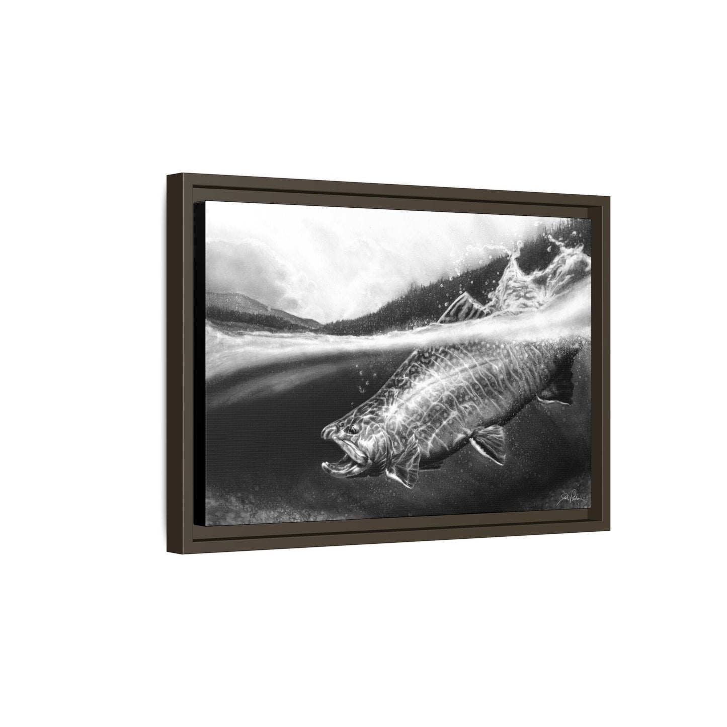 "Brook Trout" Framed Canvas