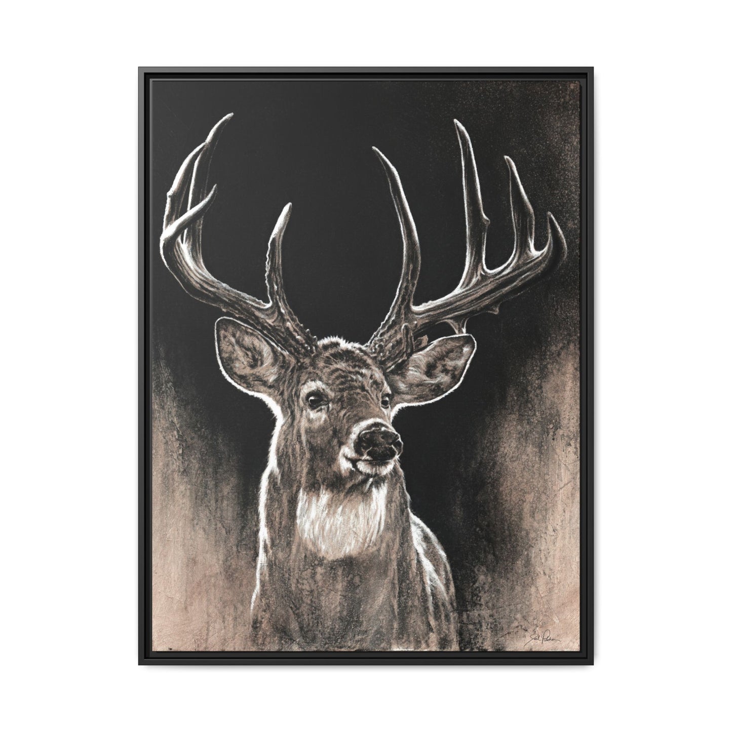 "Backlit Buck" Framed Canvas