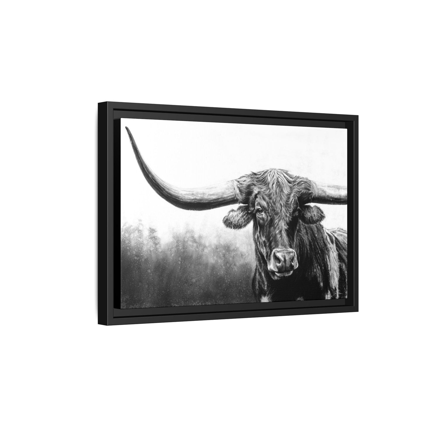 "Longhorn" Framed Canvas