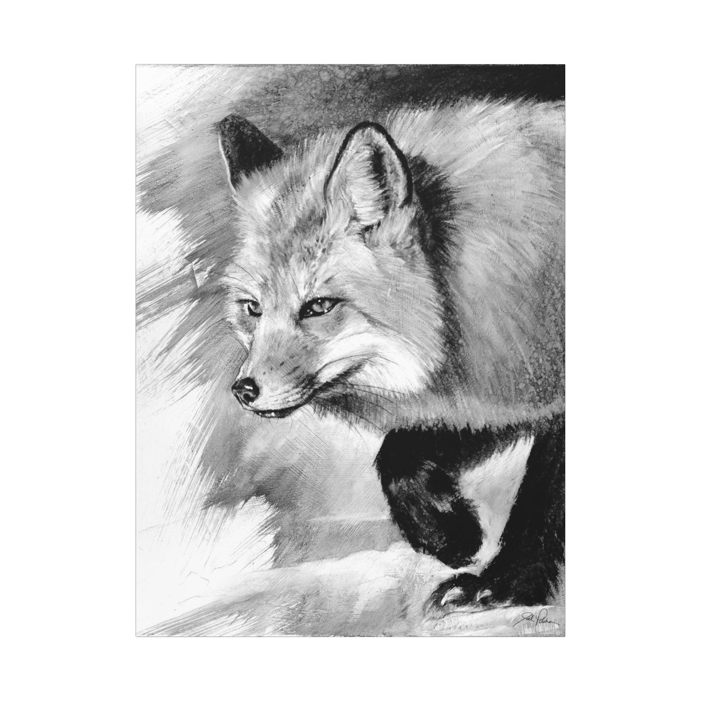 "Fox" Stretched Canvas