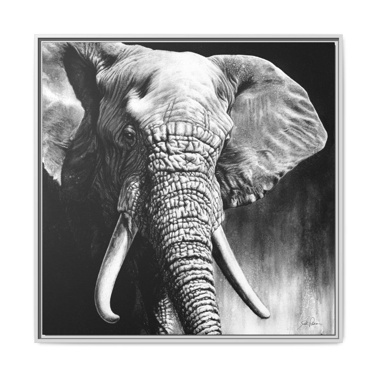 "High & Mighty" Framed Canvas