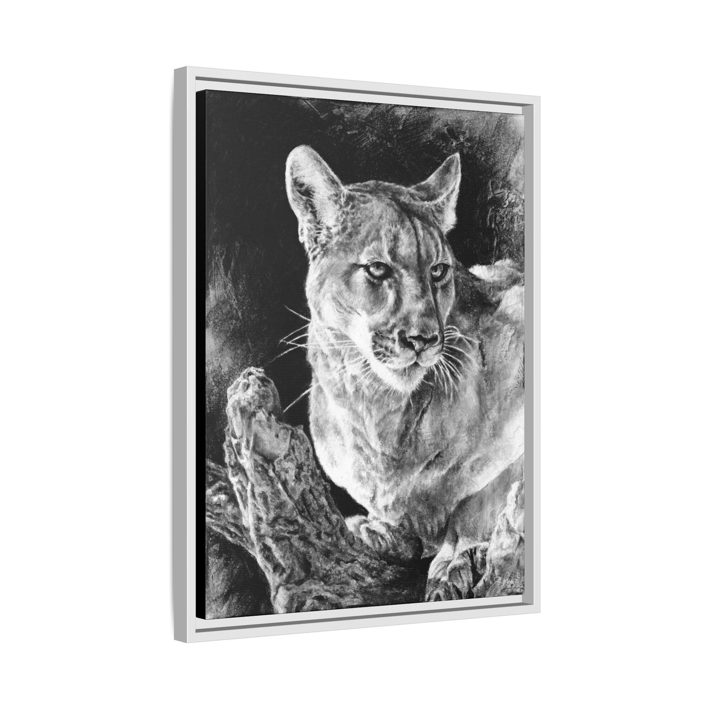 "Mountain Lion" Framed Canvas