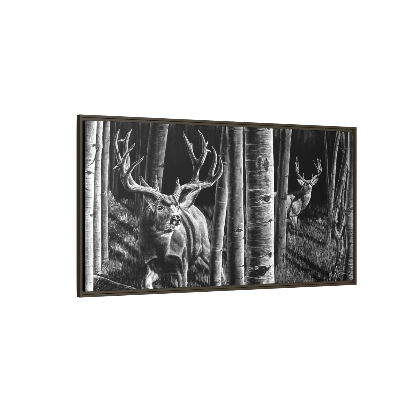 "Out of the Shadows" Framed Canvas