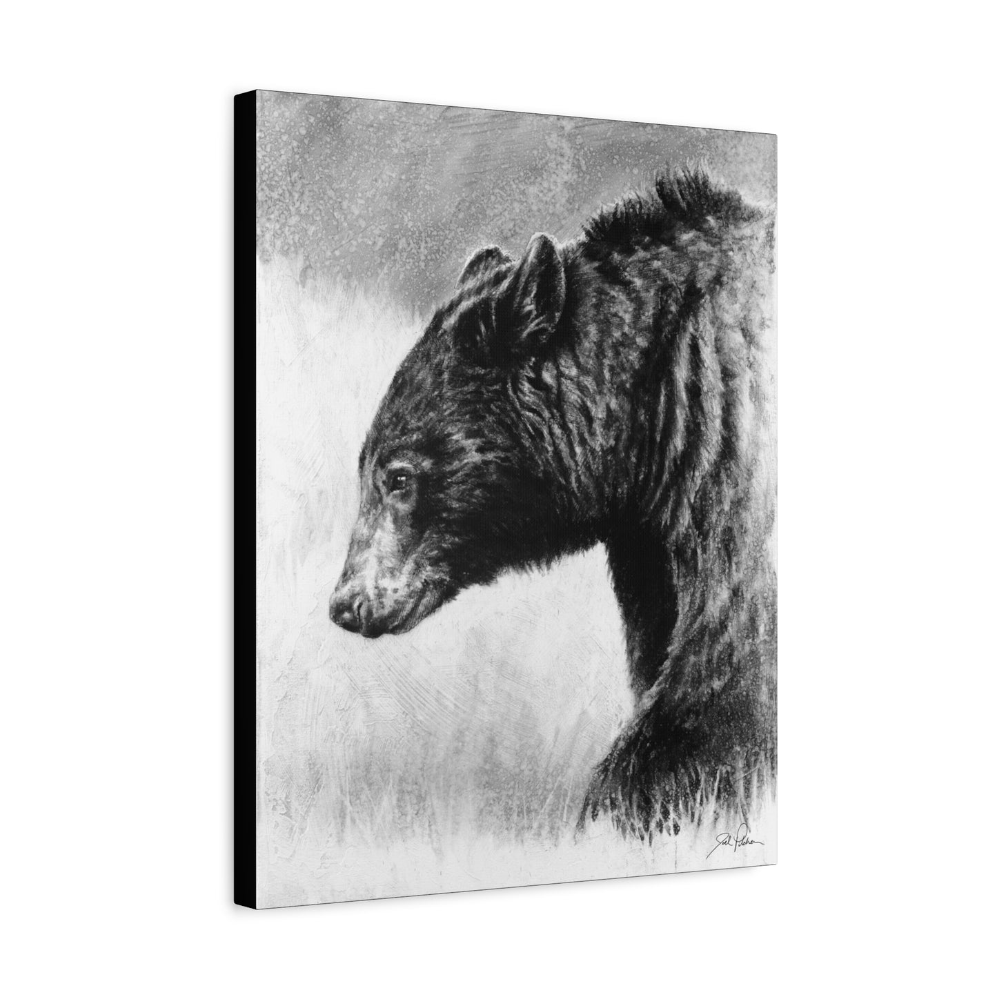 "Burly Bear" Stretched Canvas