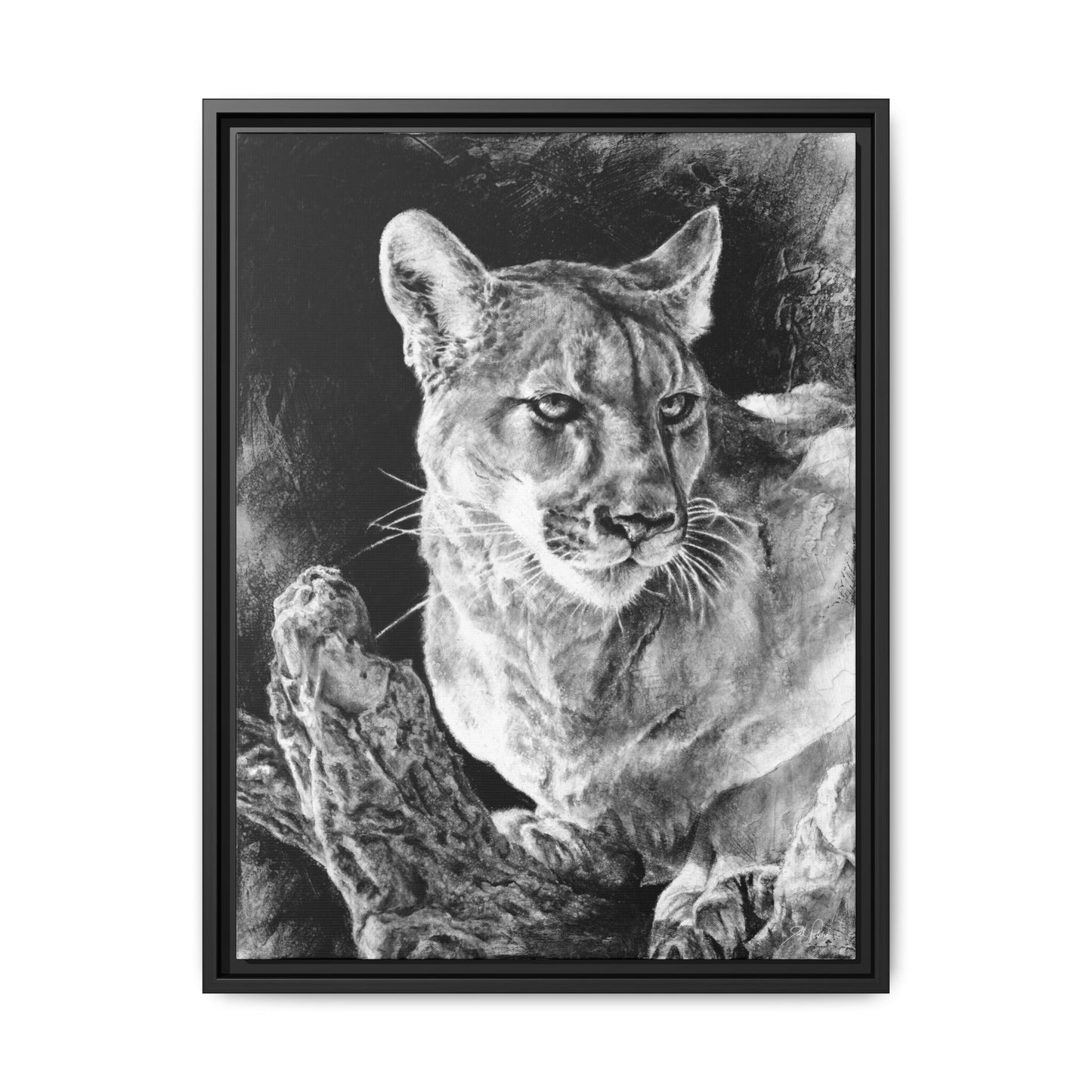 "Mountain Lion" Framed Canvas
