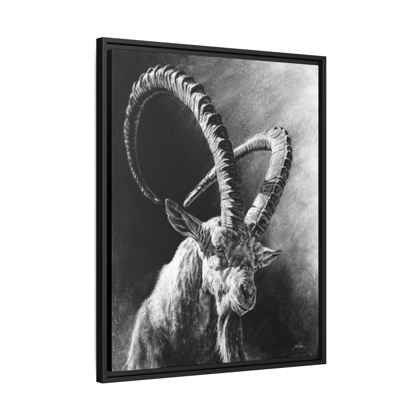 "Ibex" Framed Canvas