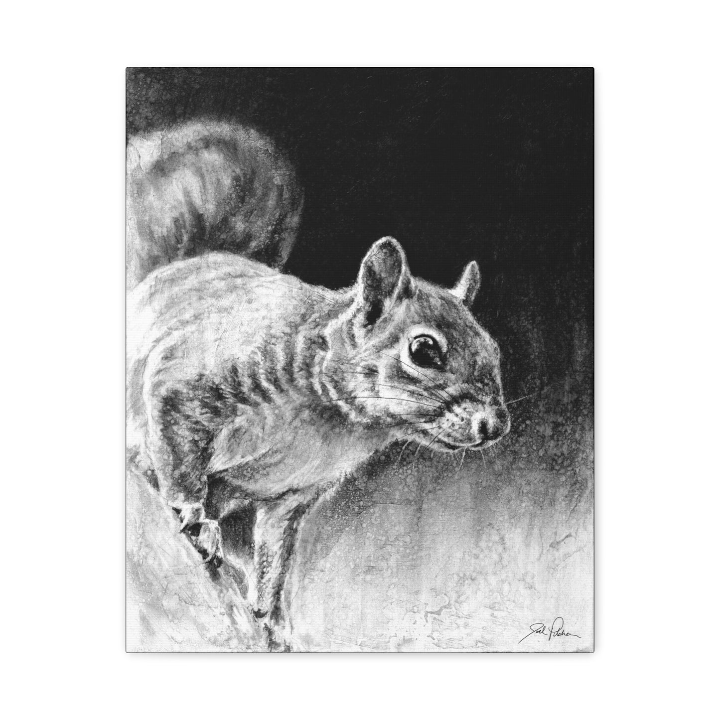 "Squirrel" Stretched Canvas