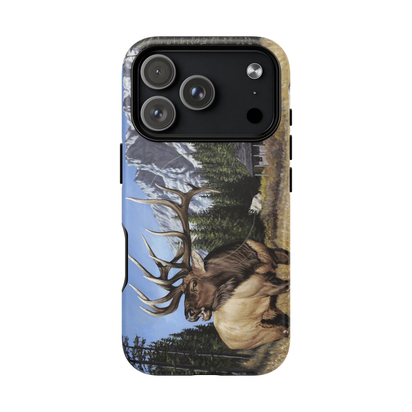 "Sanctuary" Magnetic Tough Case